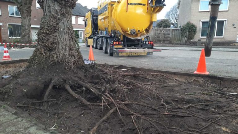 Boomwortels veilig vrijmaken