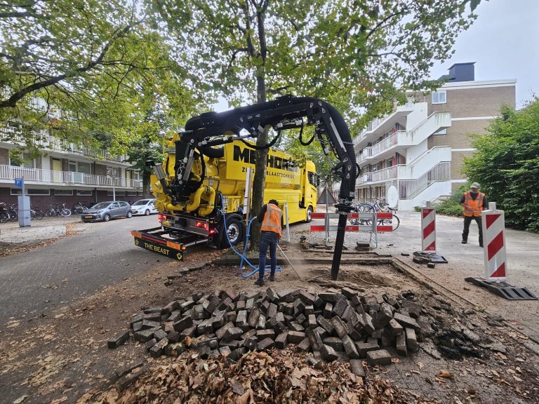 Vrijzuigen van een boomvak