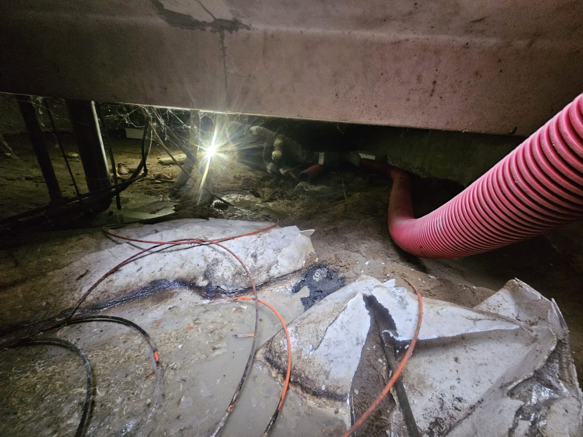 Ratten weg, laat de kruipruimte reinigen