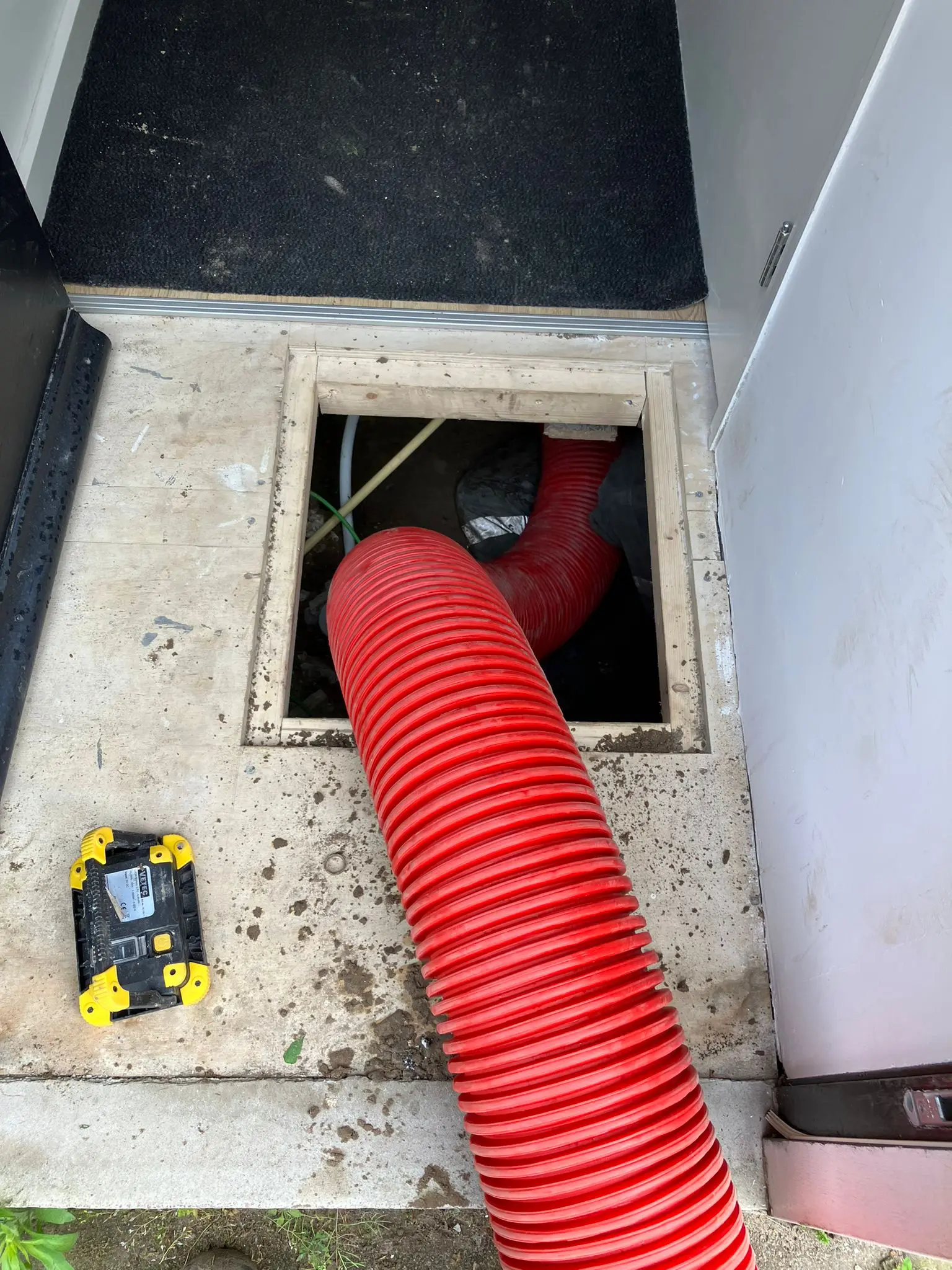 Ratten in de kruipruimte