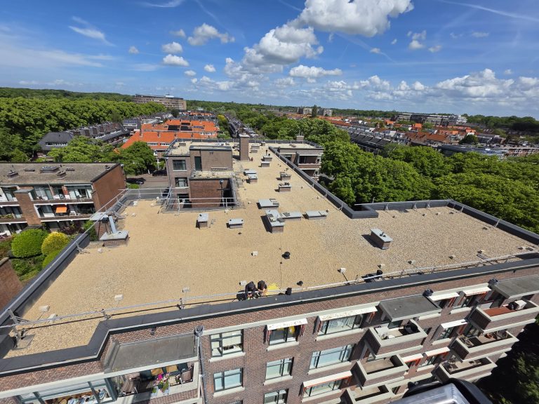 Dakgrind blazen Den Haag
