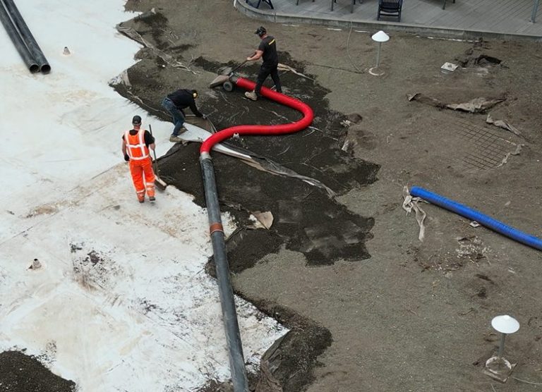 Sedum van het dak verwijderen in Maastricht