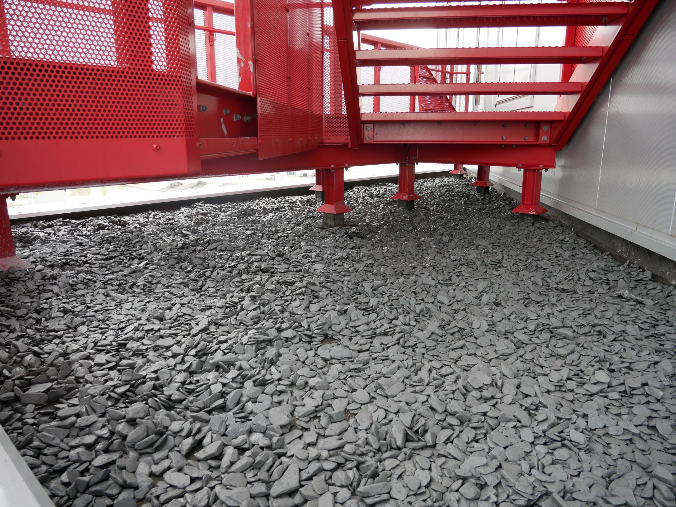 Dakgrind kubelen op de Maasvlakte